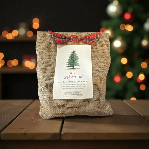 Yule Tree-To-Be Burlap Kit With Seeds Pot & Instructions For Holiday Tree Growin - Picture 6 of 6
